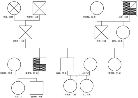 家庭關係圖|家系圖模板